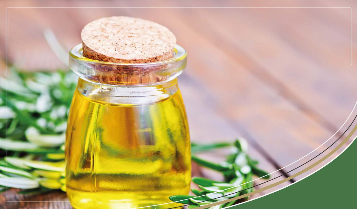 Uses, Benefits & Side Effects of Oregano Oil – SC Nutra