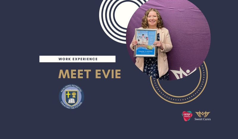 Work Experience with Career Ready